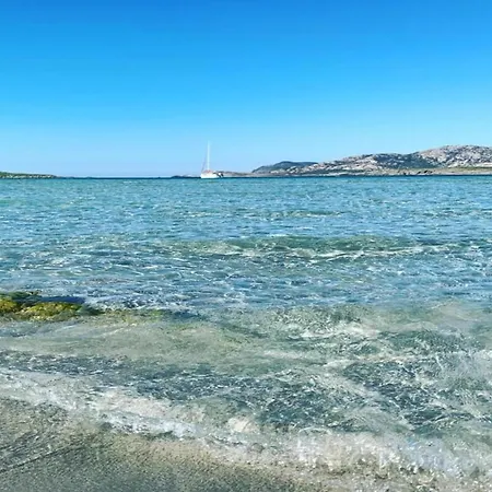 In Дом отдыха Стинтино